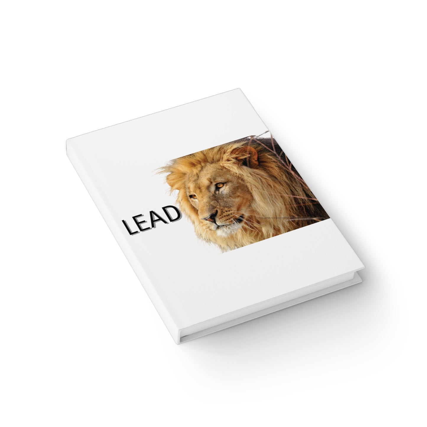 Lead Journal